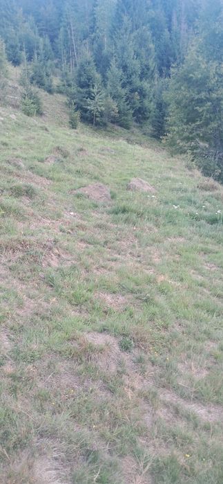 Vand teren intravilan în Arieseni asfaltat apa curent  etc