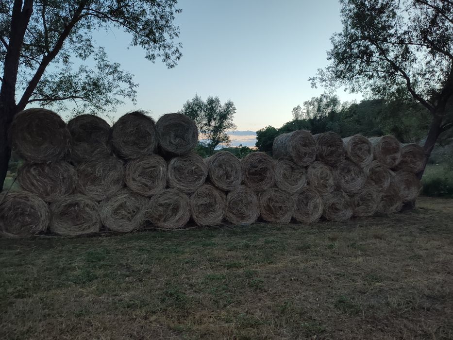 Vând 31 baloți rotunzi de fân cu 30% lucernă, prima coasă Nr telefon+40743682130