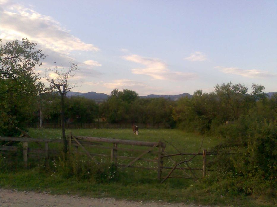 Teren intravilan - Unguras, Maramures