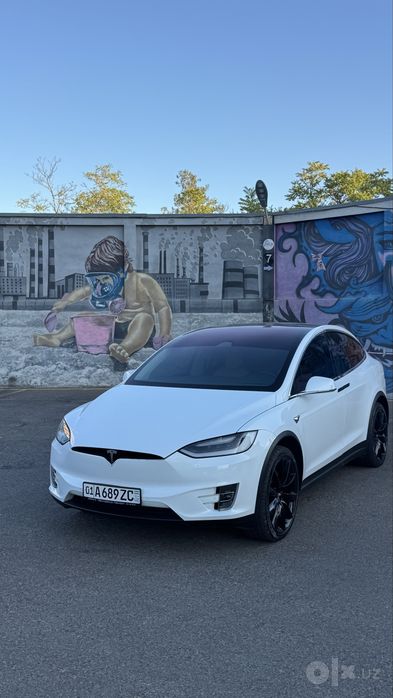 Tesla Modul X 2019