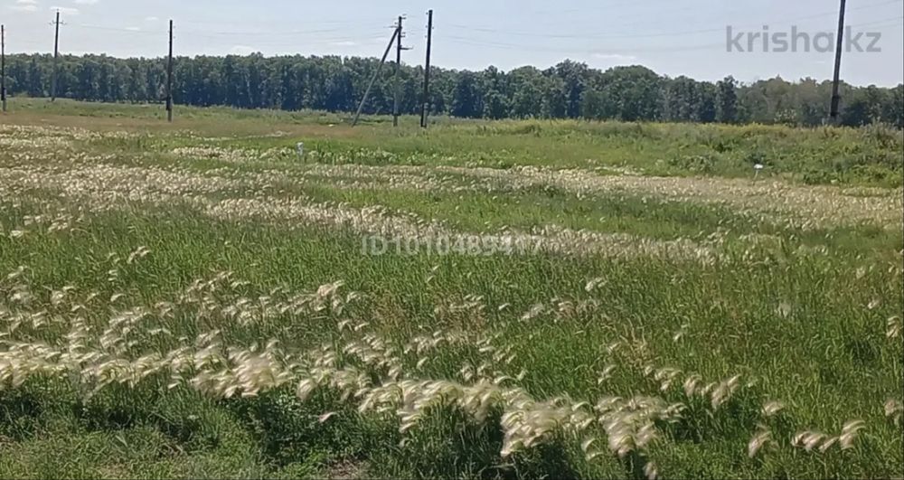 Продам земельный участок