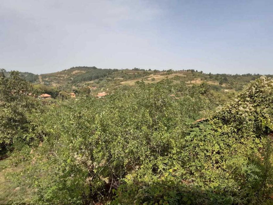 Продава се Къща в с. Дебел дял, Област Габрово - 100 кв.м за 128 €/кв.м - Снимка #3