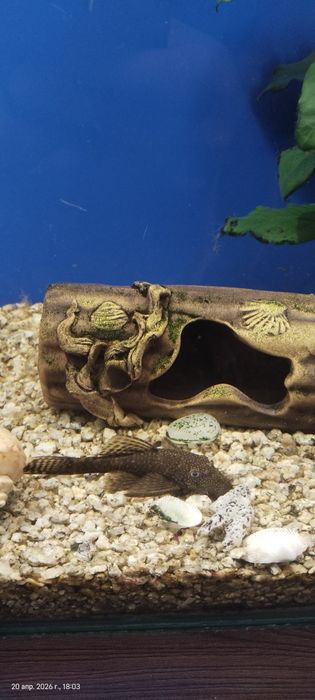 Продам аквариум 100л +-