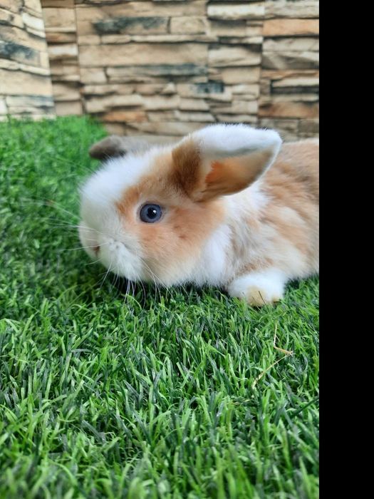 Подарок для детей