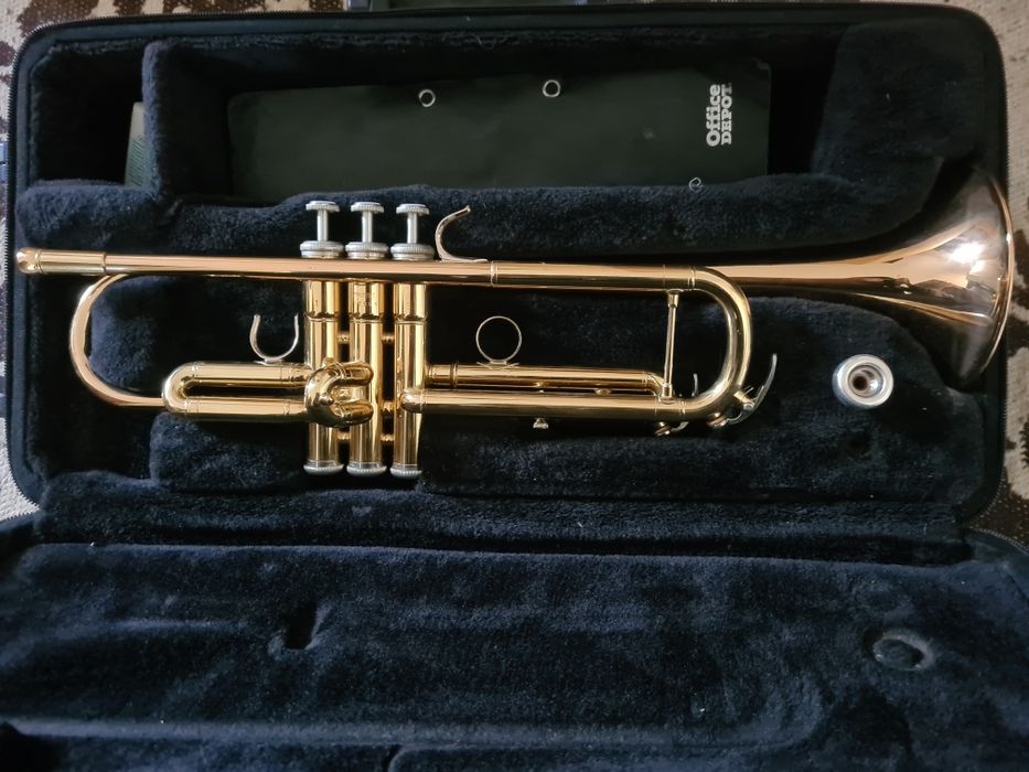 Instrumente muzicale