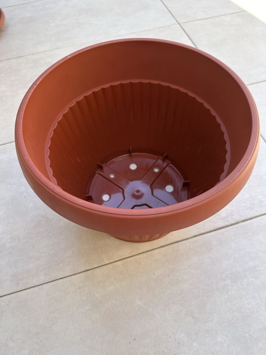 Саксия кашпа 8 лева