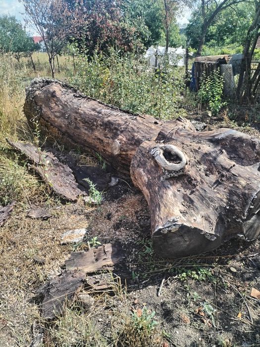 Lemn de nuc pentru mobilier