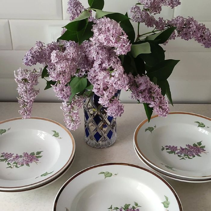 Тарелка сирень дулево