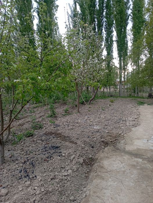 Срочно yer sotiladi  dachabop.