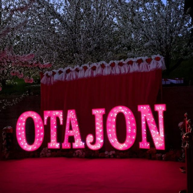 Onajon+T+P yozuvlarini yasab beramiz