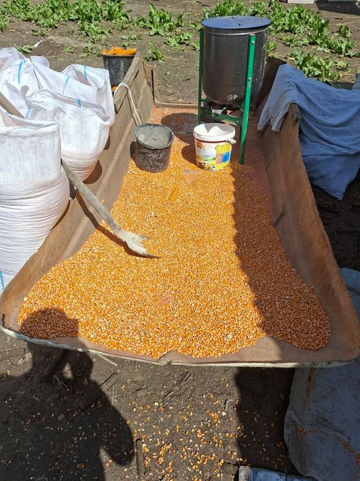 Vând graunte sticlos  calitatea 1,  1.3 kg , tel 0757126076