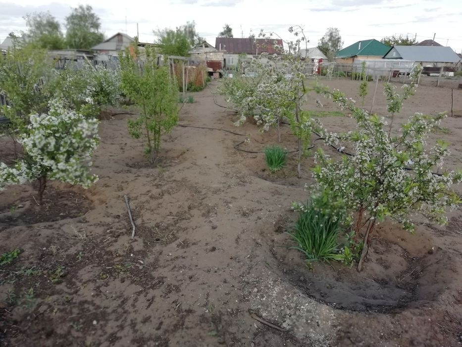 Продам или обменяю на квартиру в городе  Павлодаре  4-х комнатный дом