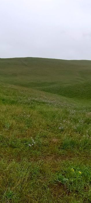 Земля 12 га в узынагаш