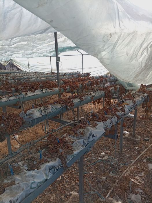 Parnik temir tersaklari sotiladi