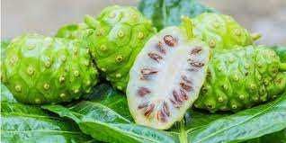 Noni, suc 100% natural, Life Care