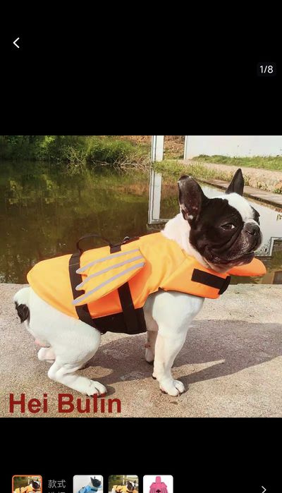 Жилет плавательный для собак