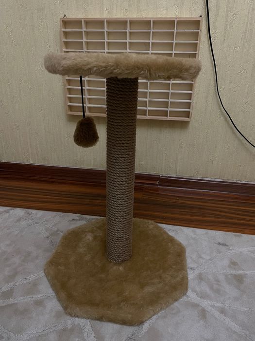 Когтеточка для котят