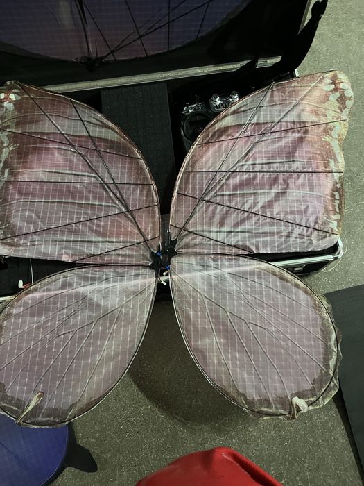 Летающий бабочка