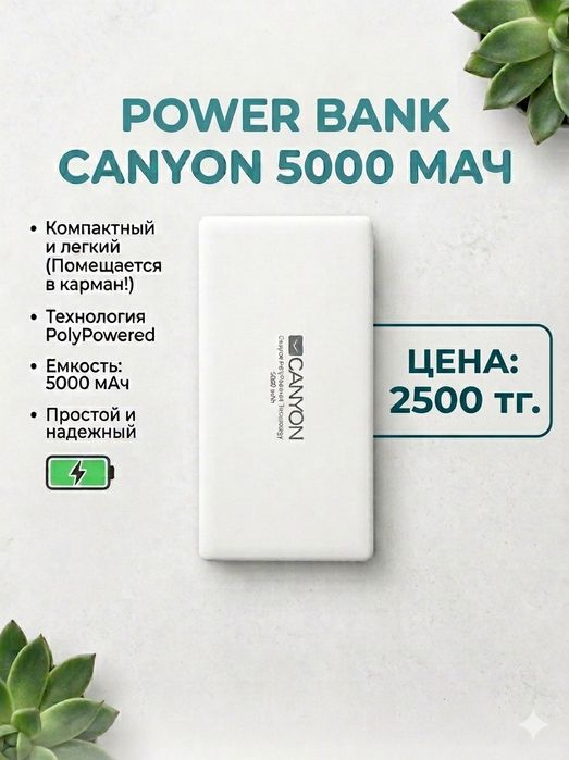 Power Bank Canyon 5000 мАч
