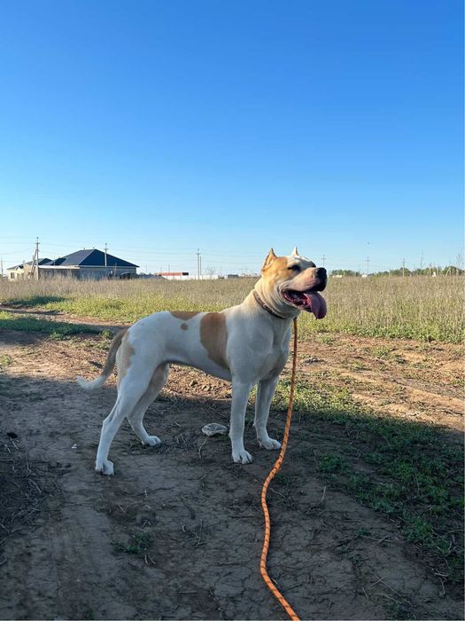 Ищем кабеля для вязки