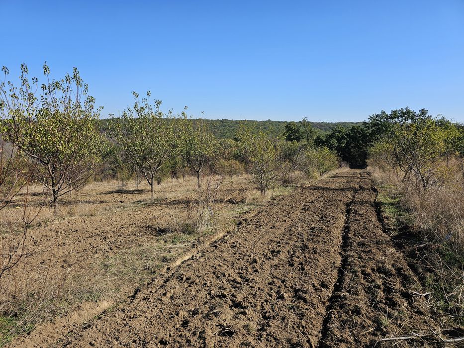 Продава се Земеделски имот в Плевен, Мара Денчева -  кв.м за 661 €/дка - Снимка #1