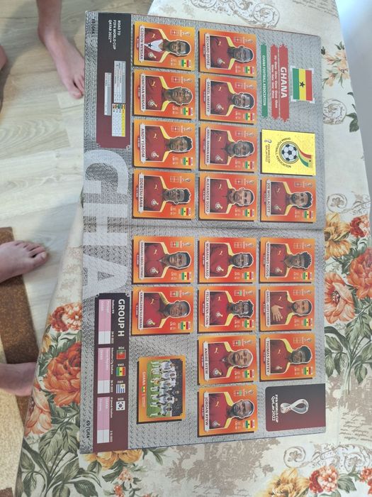 Album panini World cup Qatar