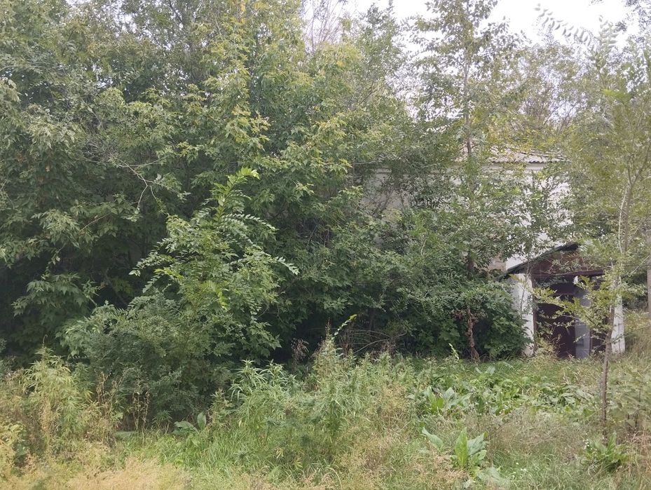 Продам здание из пескоблока