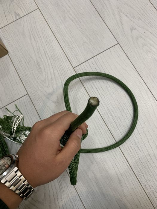 Веревки альпенист