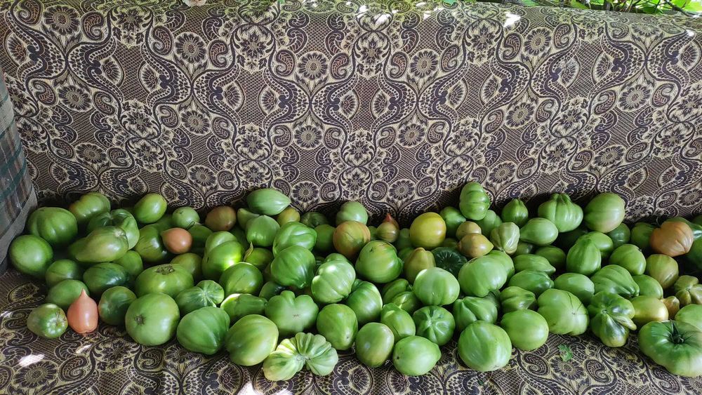 Продам дачу Каучук