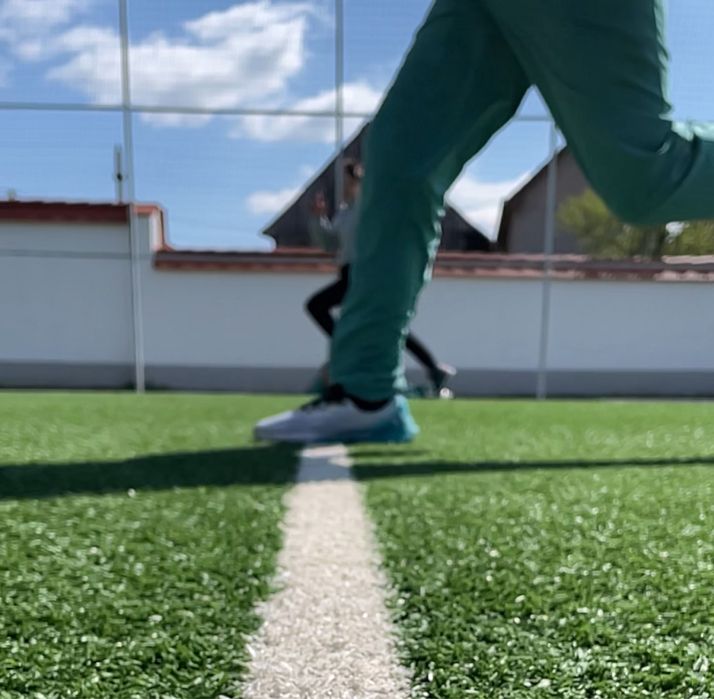 Tetrapie-concept nou format din 4 mari domenii