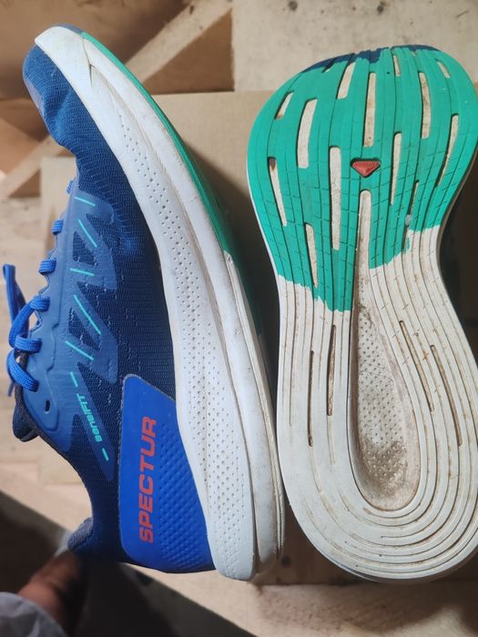 Salomon spectur albastru