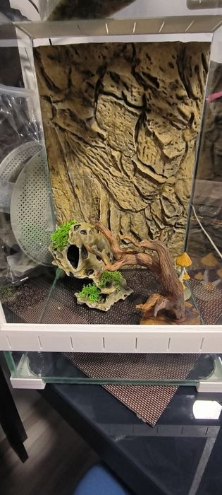 Терариум 20+20+30