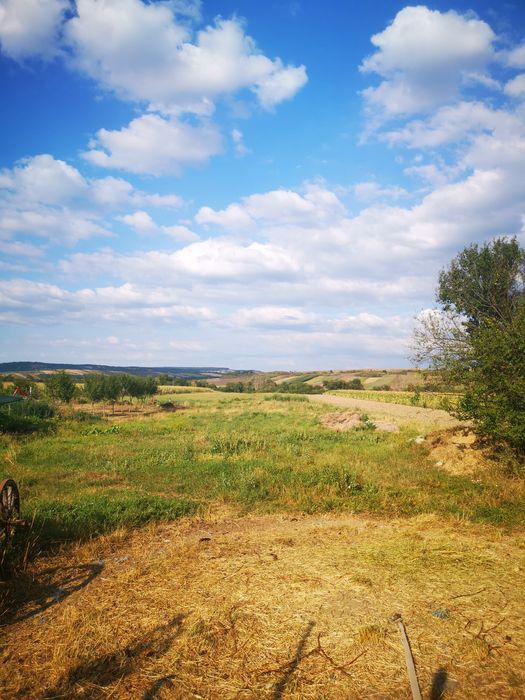 Casă de vânzare în Balc, jud. BIHOR, cu teren de 6410 mp