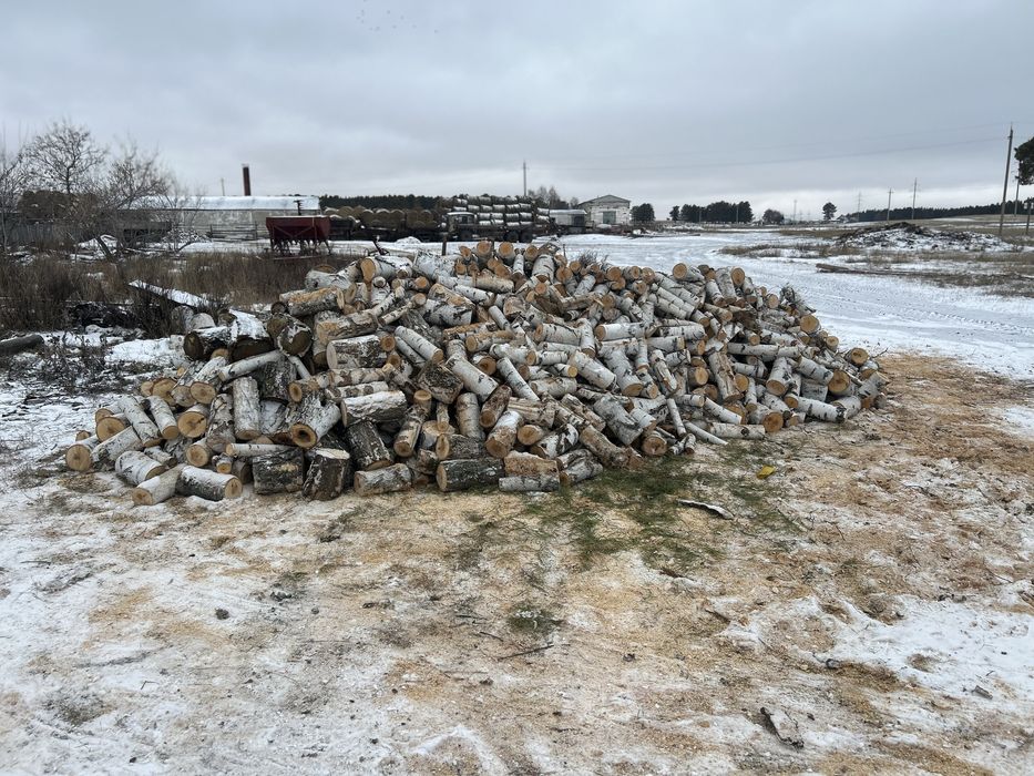 Продам дрова (берёза)