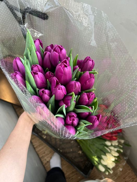 цветы Тюльпаны .