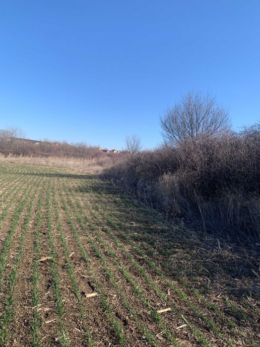 Продавам 1/3 идеални части от нива в с. Мулдава м. СТАРАТА КОЛИБА