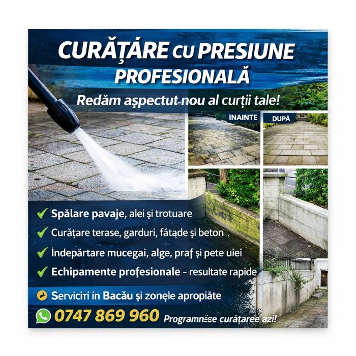 Întreținere spații verzi/gazon abonament/curățare presiune