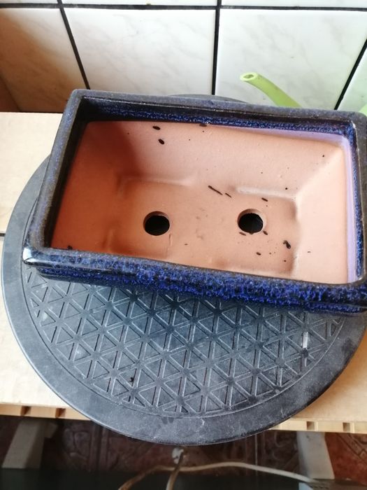 Бонсай саксии-среден и малък размер