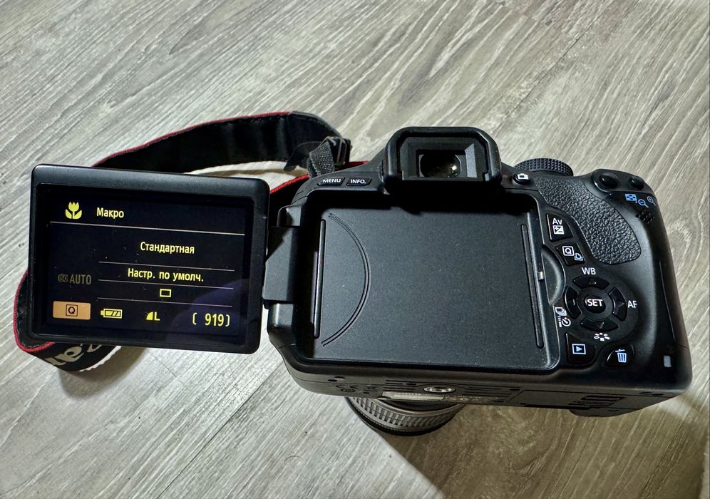 Canon EOS 600D + объектив Canon 18-200 mm.