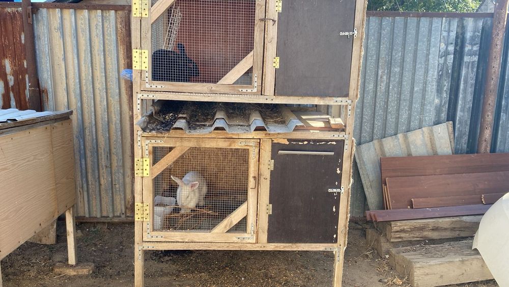 Қоян ұясымен сатылады