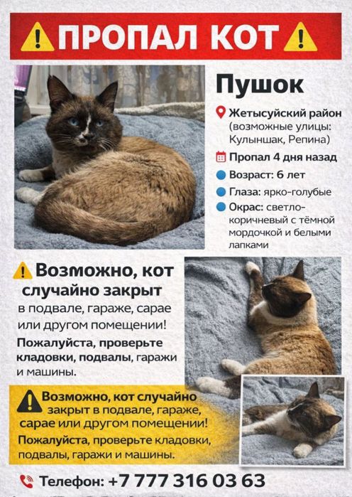 Пропал кот, очень ждем дома