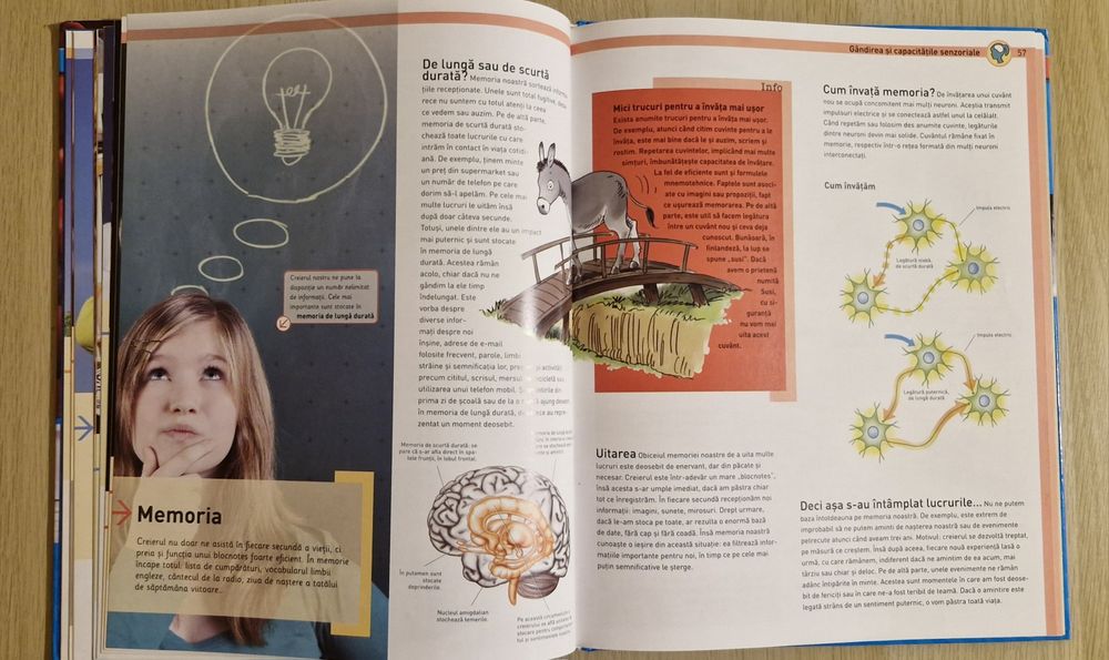 Corpul uman - Colecția Știința astazi