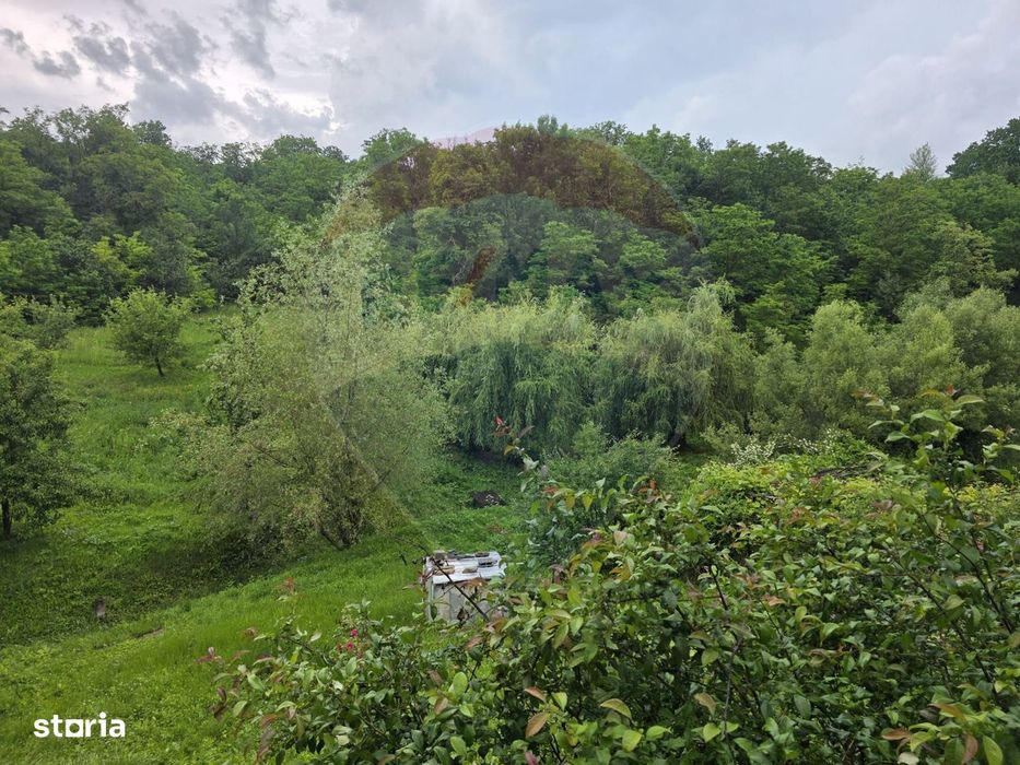 Casa cu teren generos in Sanduleni jud. Bacau