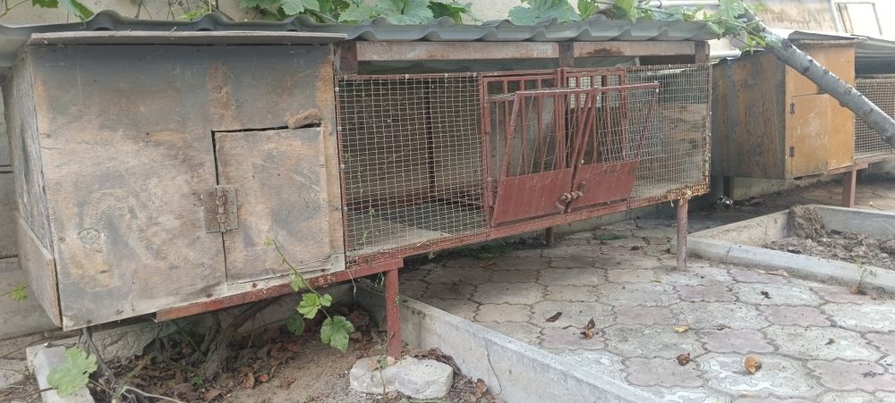 Клетки для кроликов