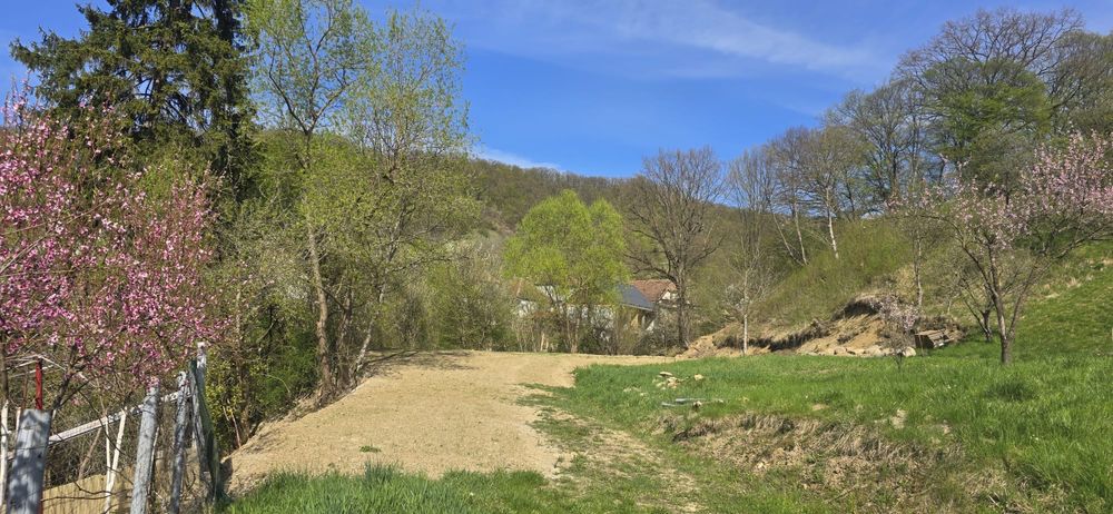 Vând teren intravilan in Sighișoara str. Ceahlaului