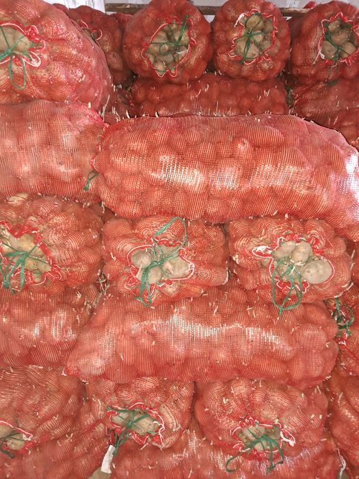 Продам корофель семейнную