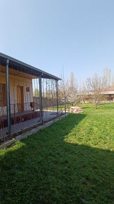 участка сотилади зангиота  тумани   10 сотик  8 хона