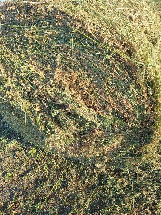 Baloti rotunzi lucerna,coasa a 3 a
