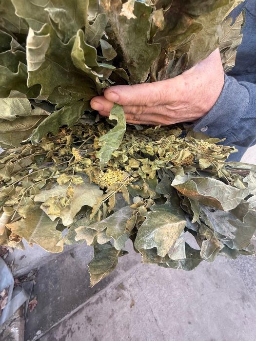 Веники для бани + ДОСТАВКА