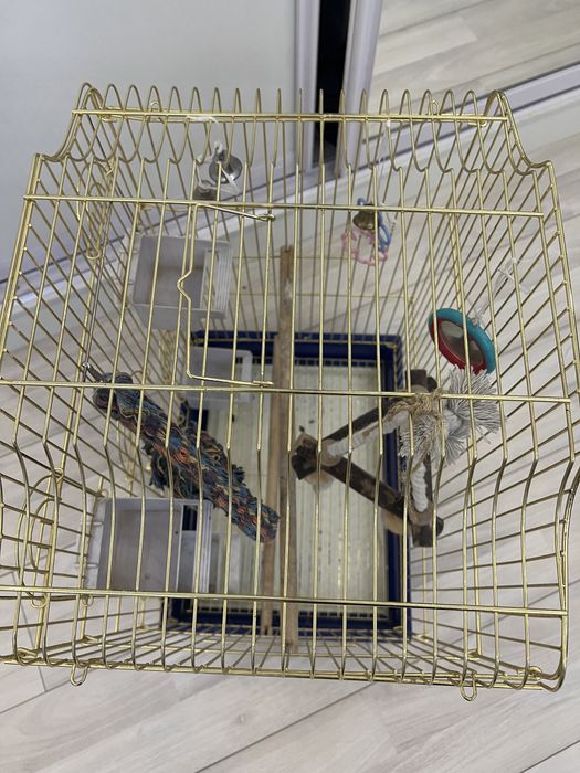 Клетка для животных